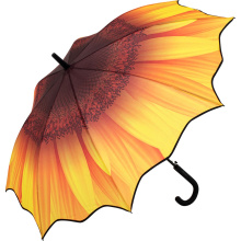 AC regular umbrella Motiv - Topgiving
