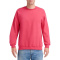 Gildan Sweater Crewneck HeavyBlend for him - Topgiving