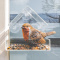 SENZA Transparant Vogelhuis - Topgiving